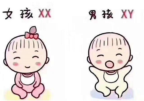 做俄罗斯试管婴儿需要多少钱呢