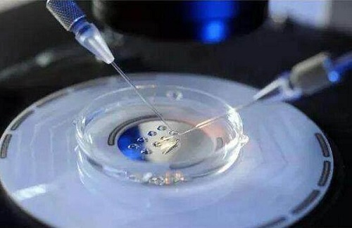 第二代试管婴儿成功率高吗_2