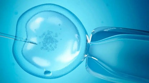 精子碎片率高会影响试管婴儿成功率吗？
