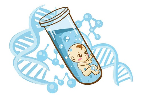 精子碎片率高会影响试管婴儿成功率吗？