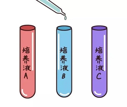 第三代试管的备孕步骤和时间怎样的