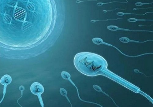 4点分析，深入浅出解读美国试管婴儿注意事项