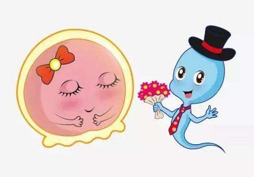 试管囊胚等级如何划分，为什么移植囊胚成功率更高？