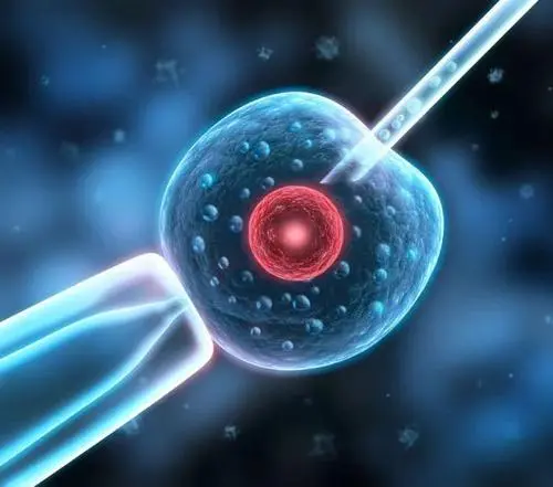 精子碎片率高可以做试管吗？可以的话成功率高吗？