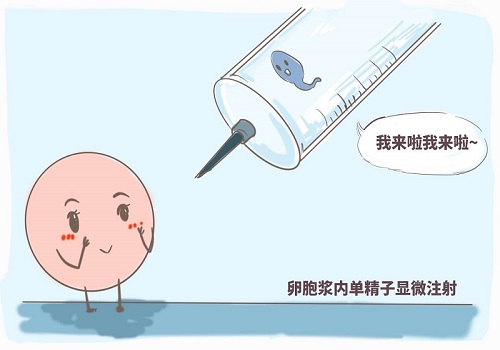 第三代试管生多少费用、时间怎样的？