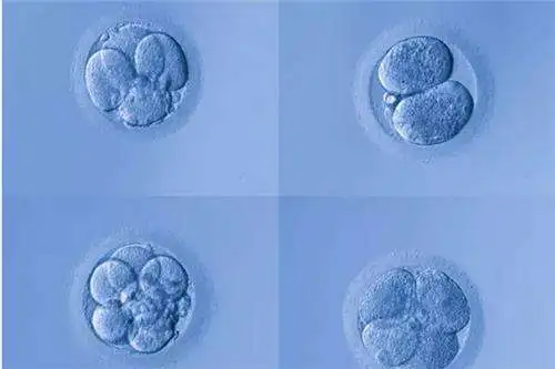 西宁三代试管婴儿哪家好？备孕压力大咋办？