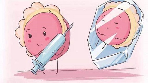 试管婴儿中囊胚是胚胎体外培养的终末阶段，那么试管婴儿中为什么要培养囊胚，有什么优点呢？囊胚培养术就是试管婴儿中的一大重要的技术，囊胚培养能增加试管婴儿的着床率，能帮助众多不孕不育家庭降低风险，提高了试