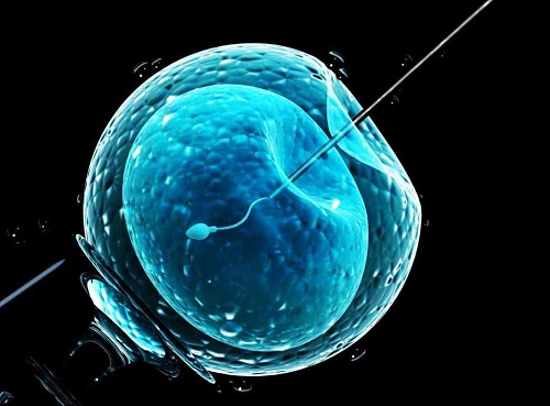 只有1个囊胚还需要做美国试管婴儿基因筛查吗？
