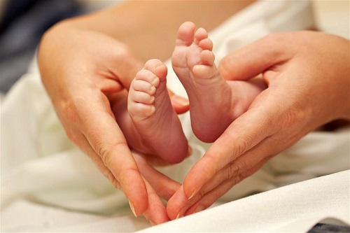 试管婴儿冻胚移植成功率为什么高于鲜胚？