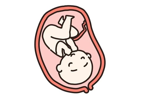 准备去美国做试管婴儿：怎么选医院？要准备多少钱？