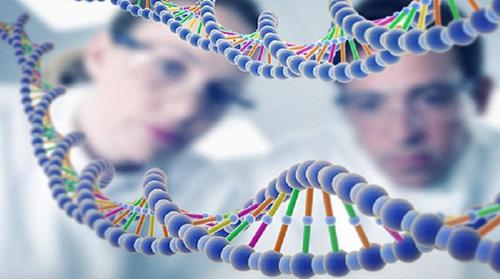 衡阳试管婴儿专家解读：什么是免疫性不孕