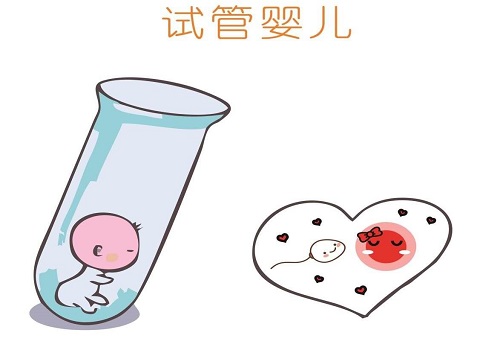 关于美国试管婴儿：90%+都会存在的认知误区