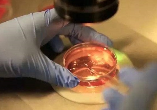 试管二代费用具体是多少呢
