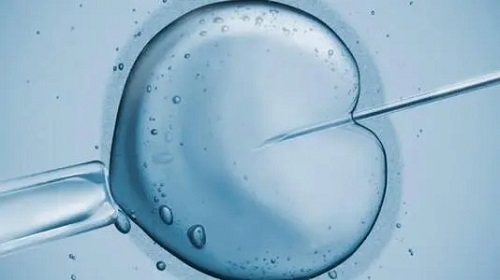 美国试管婴儿：ICSI操作会损伤卵子质量吗？