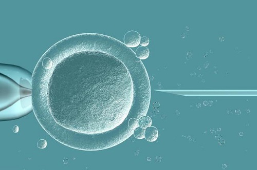 精子百分之十可以做试管婴儿吗？为什么？
