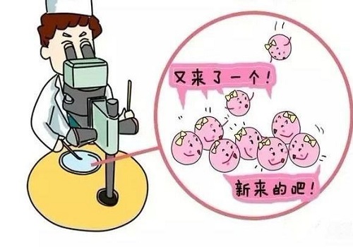 试管婴儿促进排卵的方法？