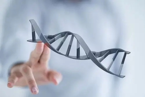 不孕怎么办？用美国试管婴儿助孕成功率高