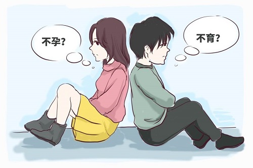 试管婴儿PGT技术是什么？有什么作用？
