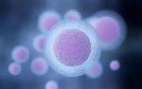泰国试管婴儿：染色体异常的原因是什么？