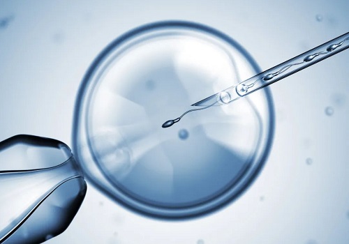 精子DNA碎片对试管婴儿的成功率有影响吗