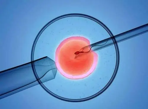 泰国试管囊胚培育和基因检测全过程分享