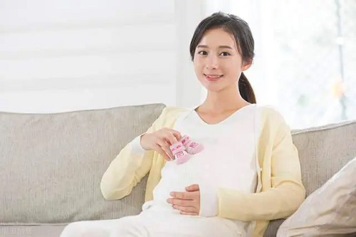 保障美国试管婴儿成功率 囊胚的作用不可小看