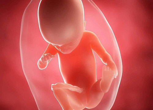 试管婴儿是如何移植到女性体内的？