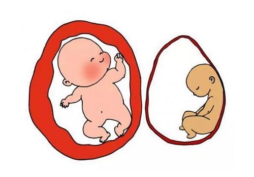 虎年精子百分之十可以做试管婴儿吗？